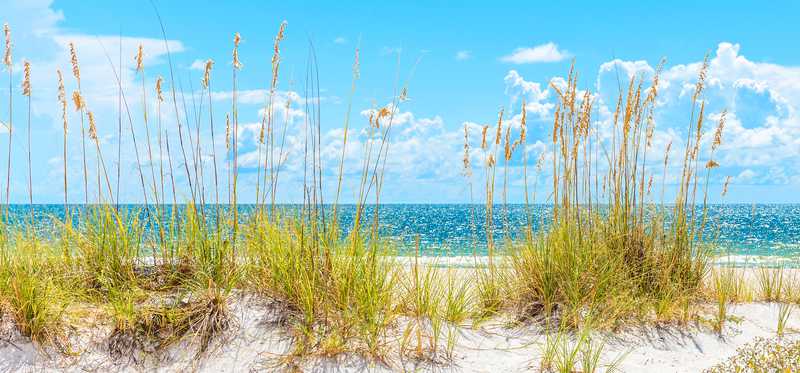 A Florida beach.