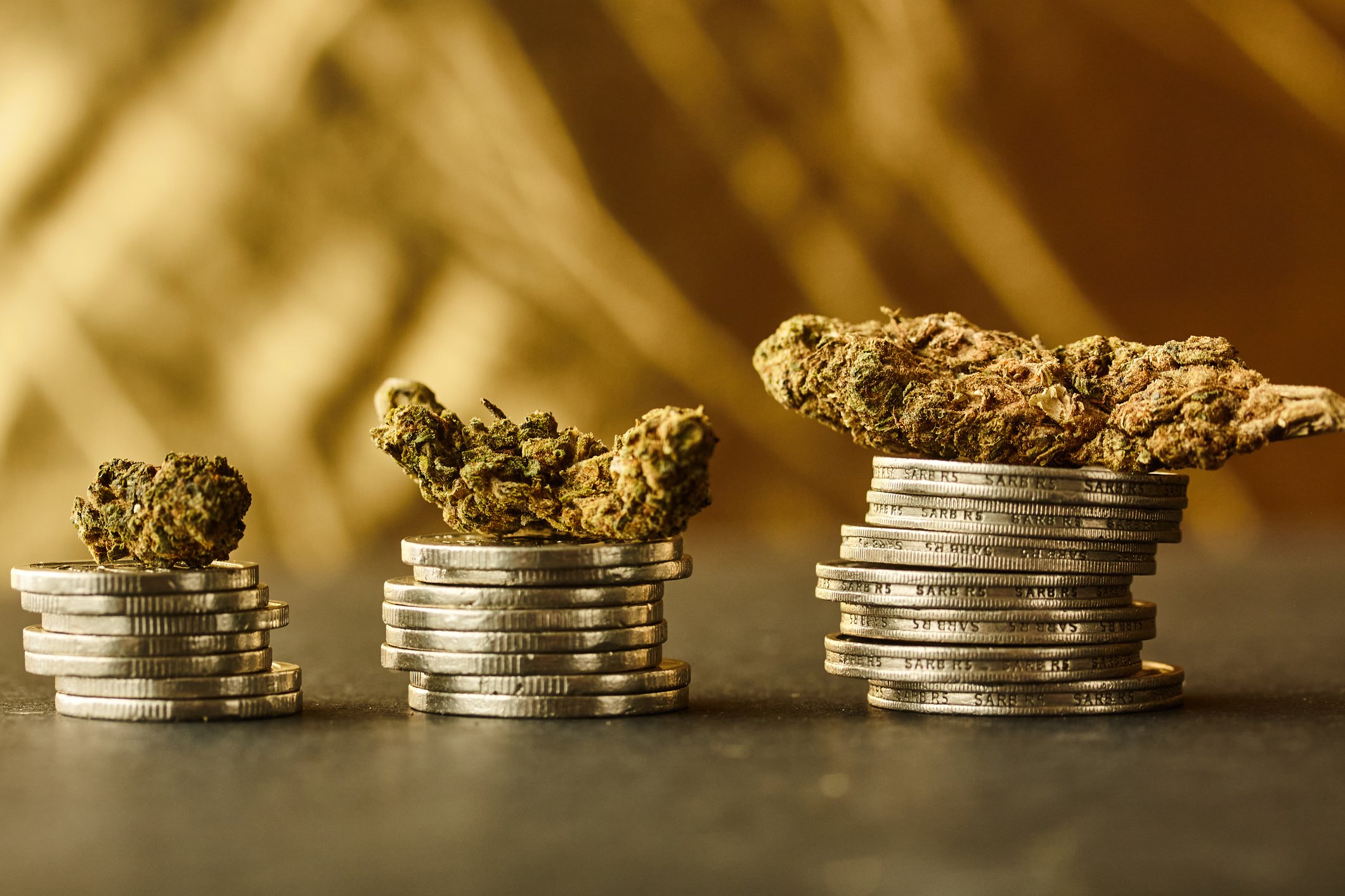 10 Reasons To Consider Investing In Cannabis Stocks | The Motley Fool