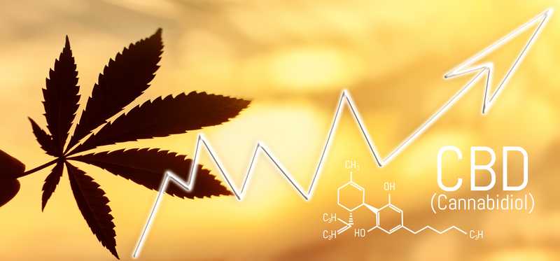 Upward trendline with golden background and cannabis leaf.