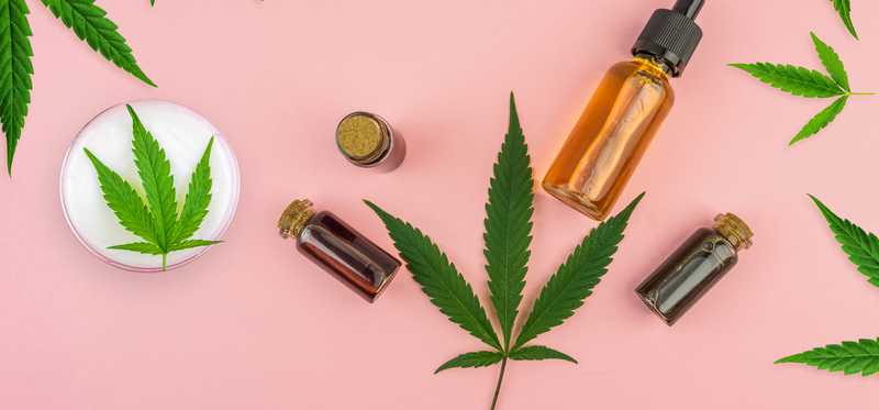 CBD oil and marijuana leaves on pink background.