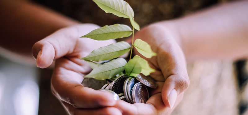 Hands holding coins with green plant sprouting out of them.