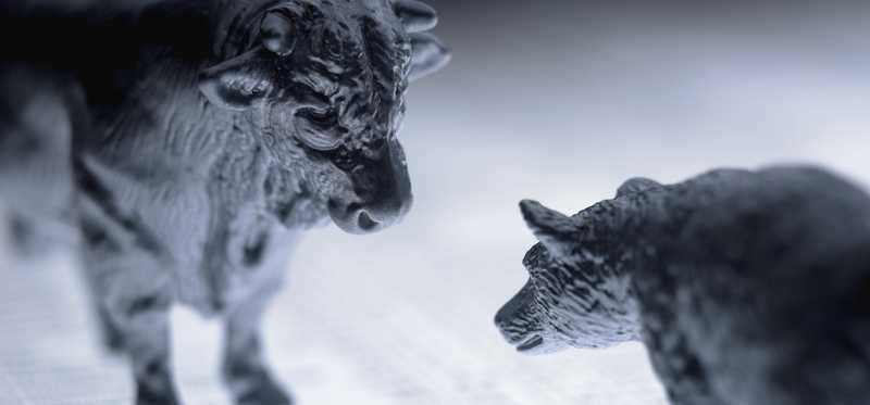 Bear and bull figures facing off and standing on charts signifying bull and bear stock market.