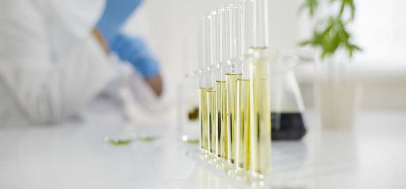 Scientist in lab with vials of CBD oil.