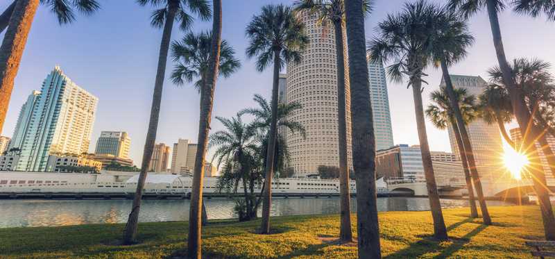 A view of Tampa, Florida's distant skyline through palm trees and over water.