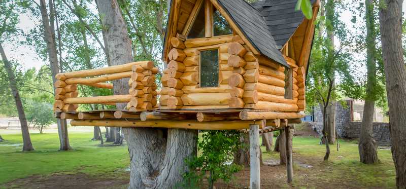 A tree house in a park.