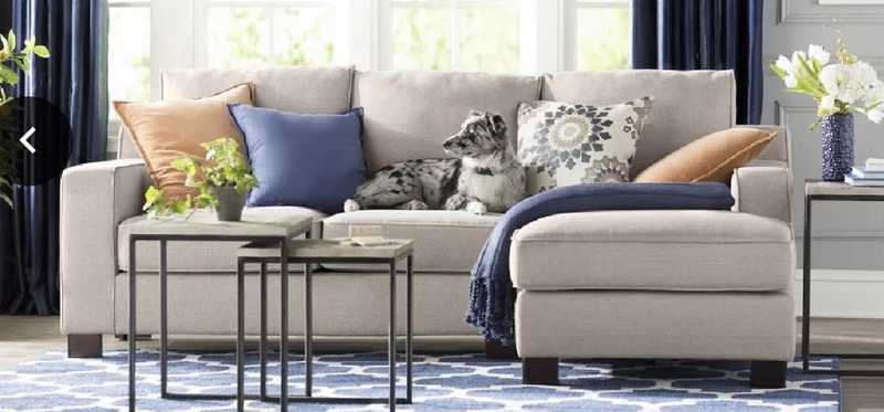 A nice sofa with a dog laying on it.