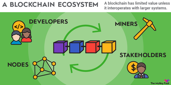 An infographic showing what a blockchain ecosystem is and how it works.