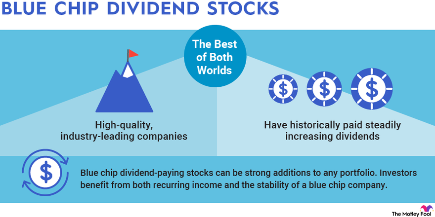 An infographic explaining why blue chip dividend stocks are the best of both worlds.