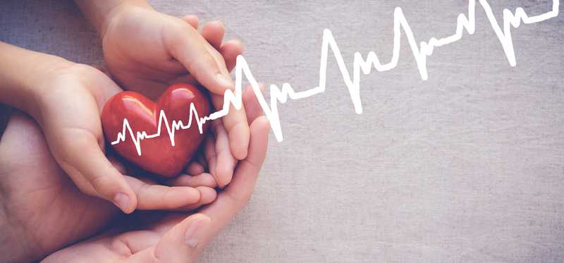 .Hands holding a heart showing heartrate reading.