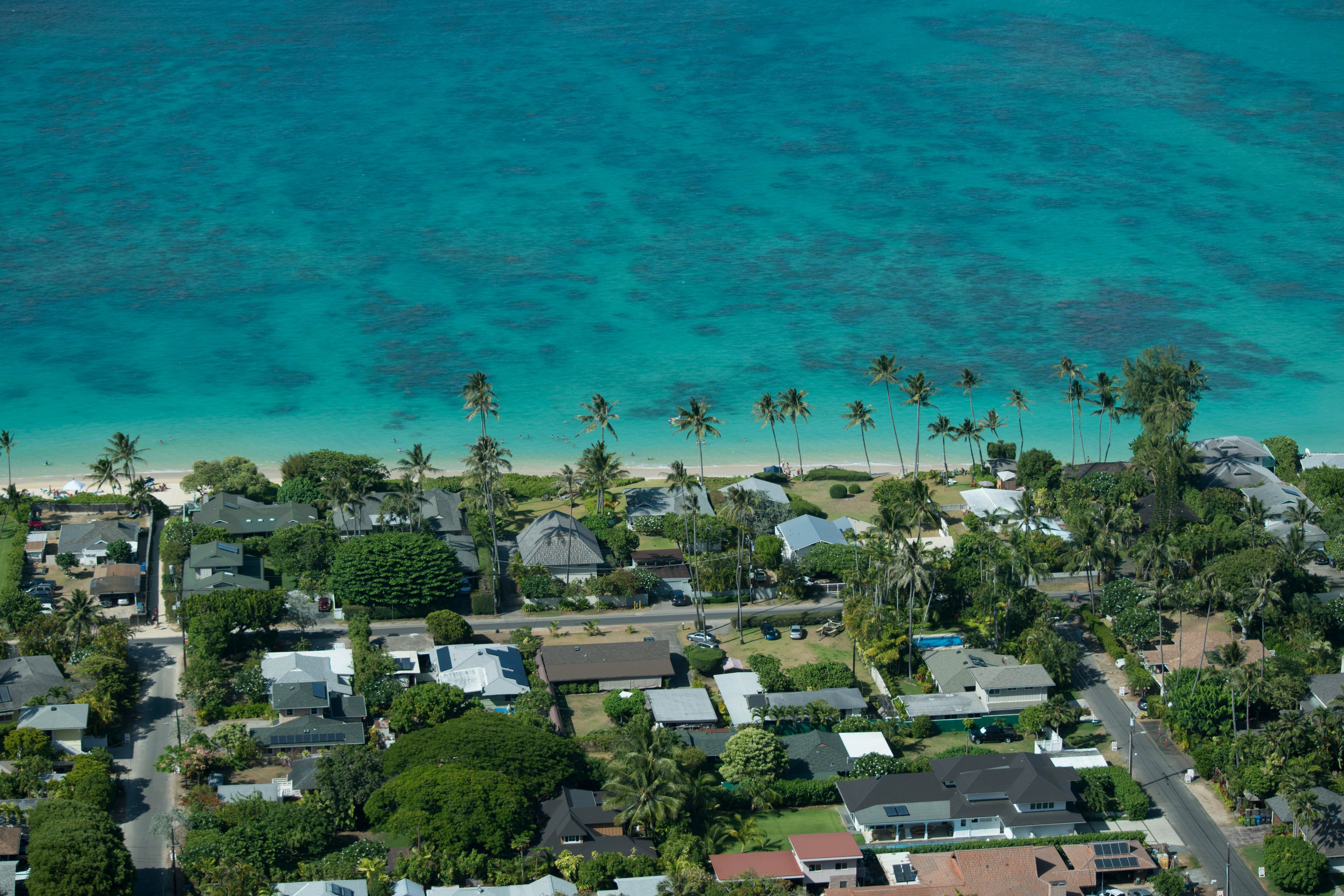 Homes along the Hawaii coast.