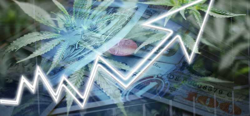 Cannabis plant with currency and stock arrow trending upward.