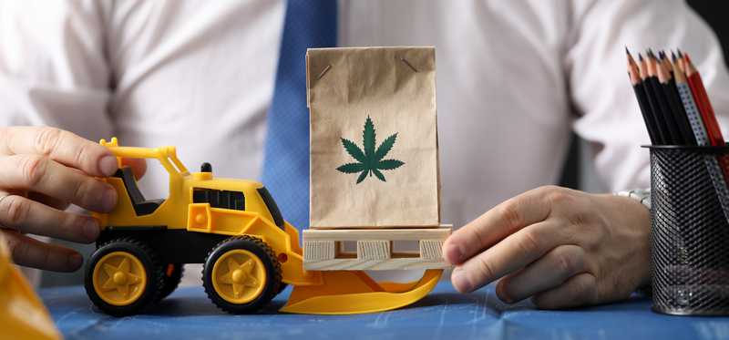 A person with a toy front-end loader carrying a bag displaying a marijuana leaf.