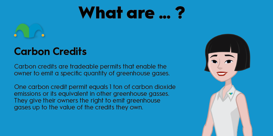 An infographic defining and explaining the term "carbon credits"