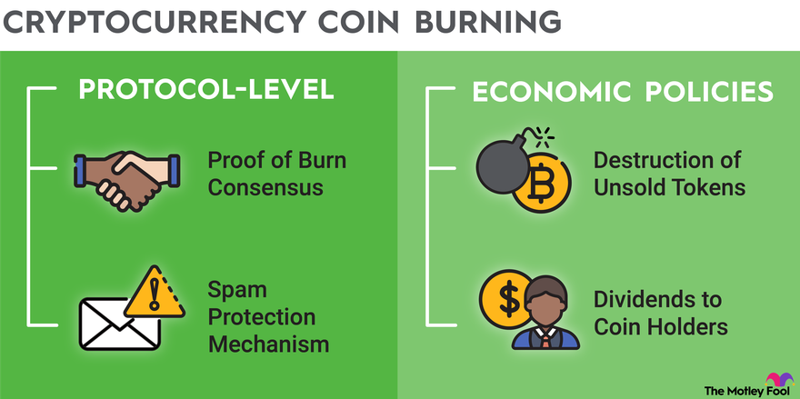 An infographic showing different methods in which crypto coins are burned.