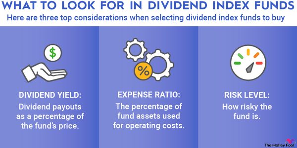 A graphic listing three key considerations when looking for dividend index funds: dividend yield, expense ratio, and risk level.