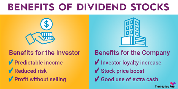 A graphic showing the benefits of dividend stocks for both the investors and the company.