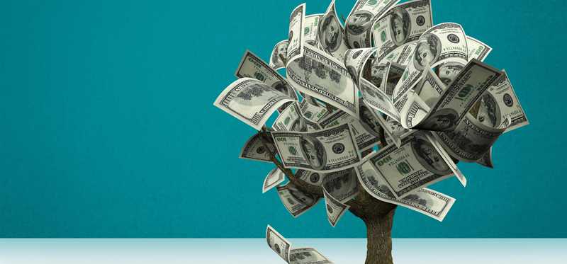 An illustration of a tree sprouting dollar bills