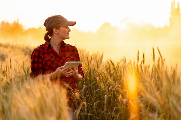 A farmer standing in a field and holding a tablet.