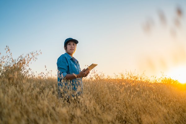 A young female farmer is holding a digital tablet in a farm field. Smart farming.