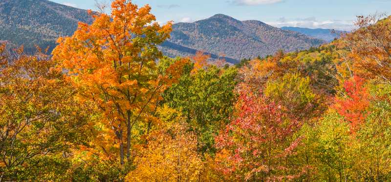 Red, orange, yellow, and green fall foliage with New Hampshire mountains in the background.