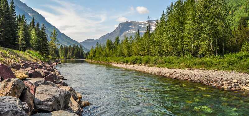 Stream running through Glacier National Park, Montana