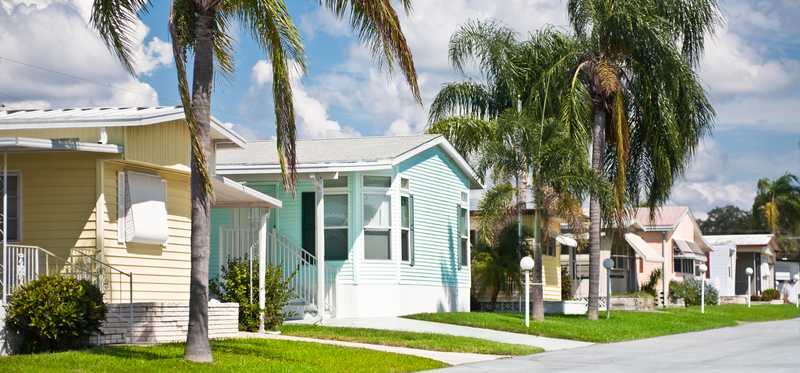 Mobile homes under palm trees.