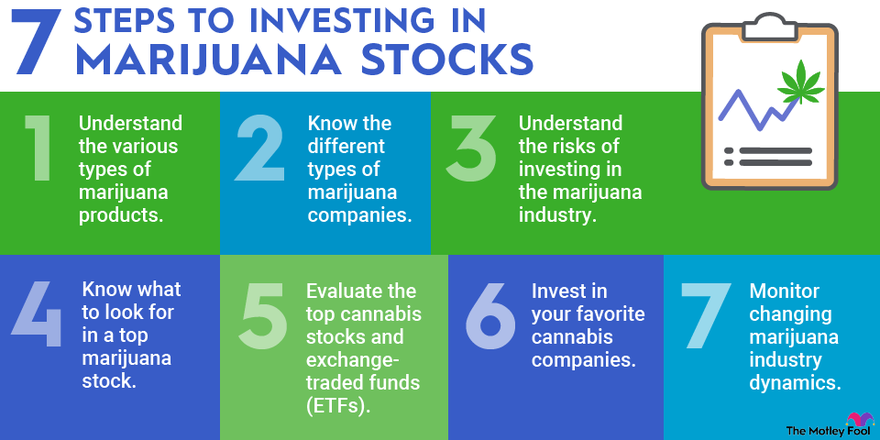 A graphic listing the seven steps required to invest in marijuana stocks.
