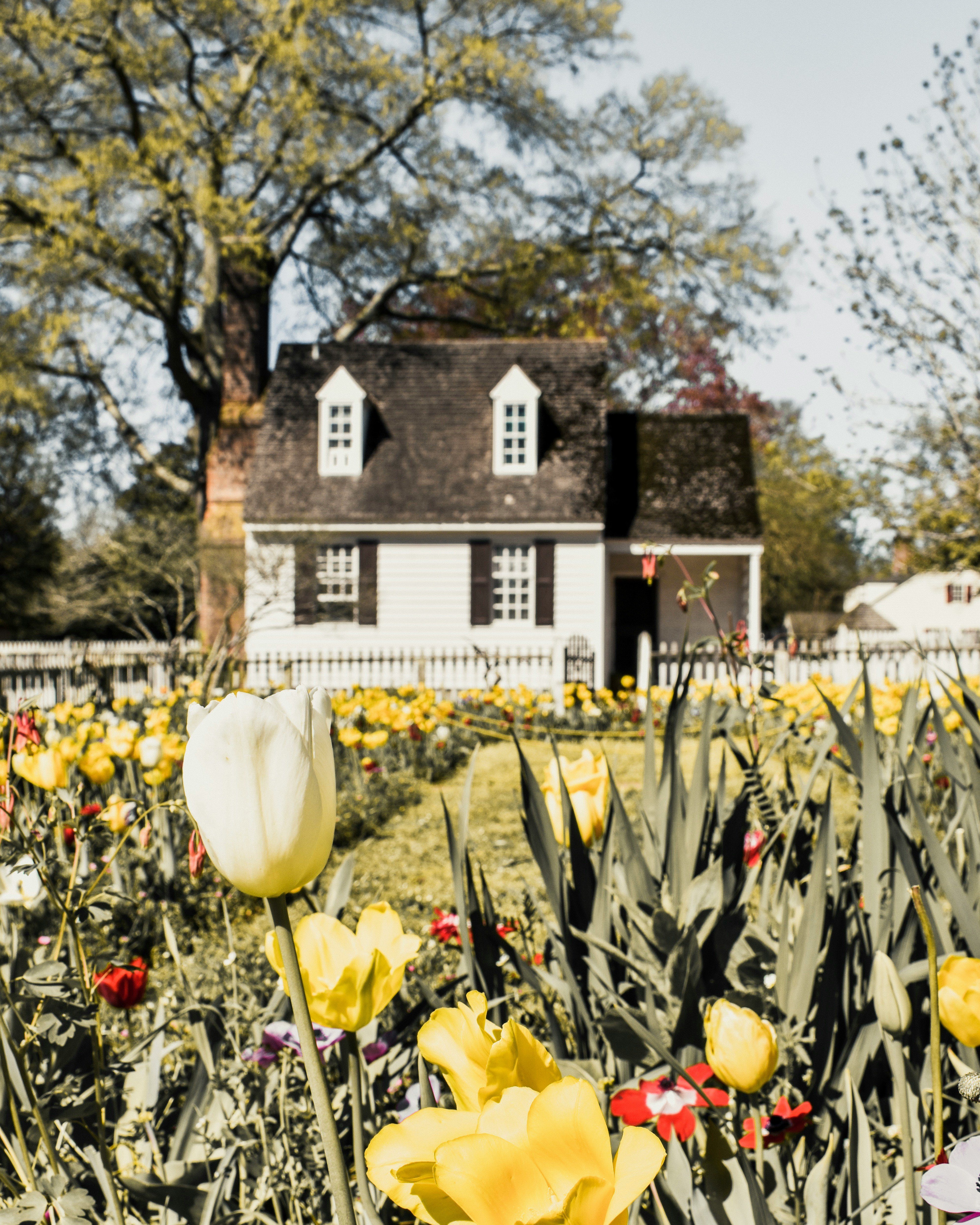 A home with tulip flowers in the foreground.