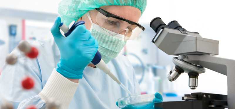 Lab technician testing specimen in petri dish