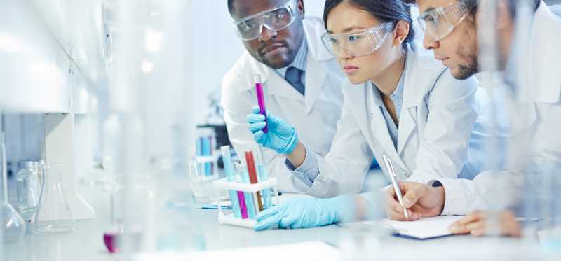 Lab technicians looking at a specimen