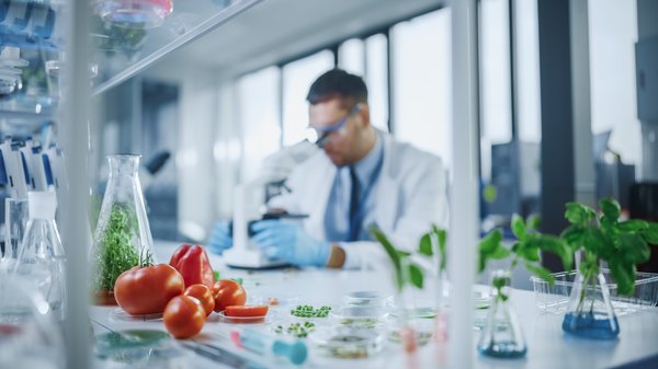 lab grown food experimentation GMO