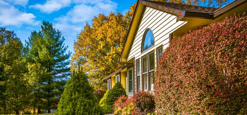 Several bushes and trees of different colors in front of a house.