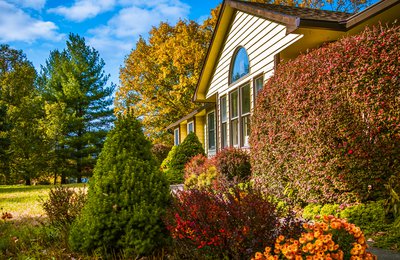 Several bushes and trees of different colors in front of a house.