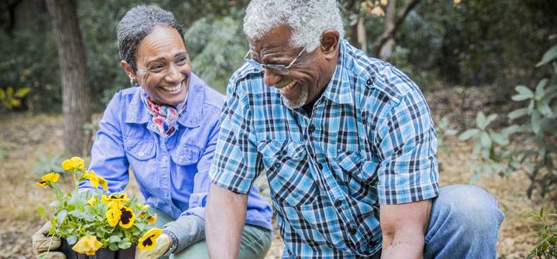Two people smiling while gardening.