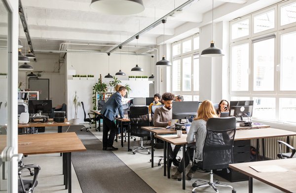 Young professionals working in a light-filled office
