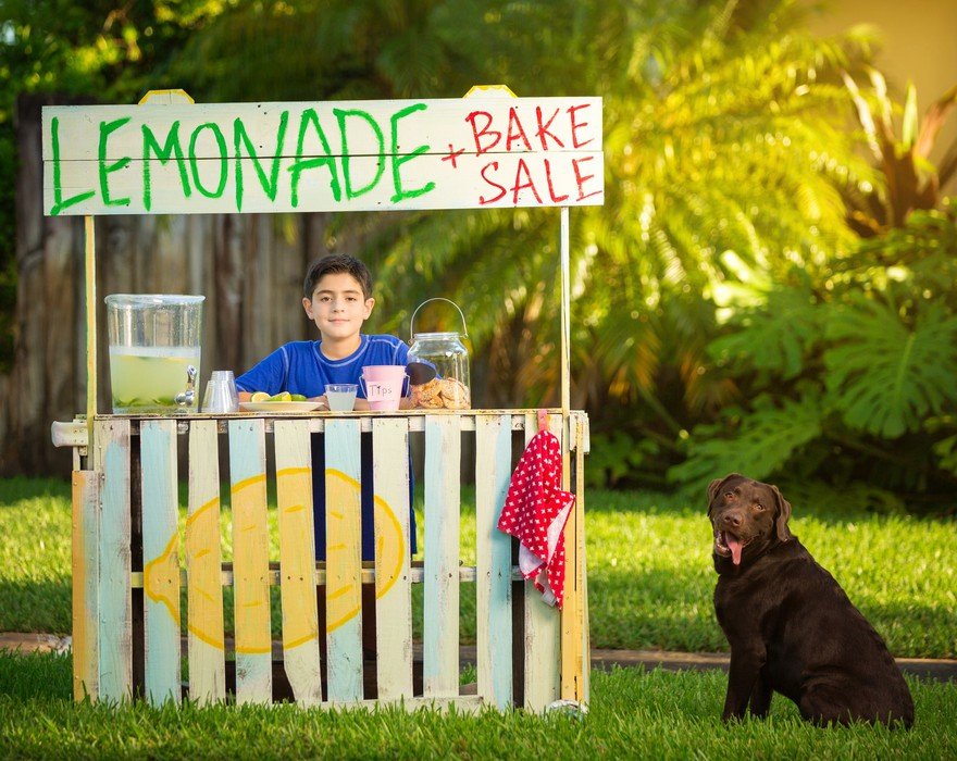 A kid and their dog selling lemonade at a homemade lemonade stand.