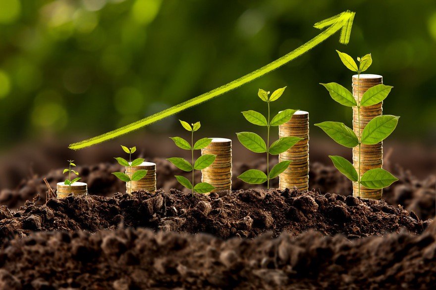 Stacks of coins and plants increasing in size with an arrow pointing upward.