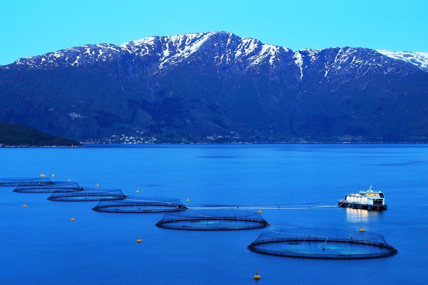 Fishing nets set up against a mountainous backdrop.