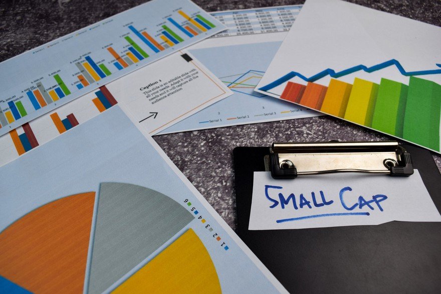 Charts on pieces of paper with "small cap" written on one.