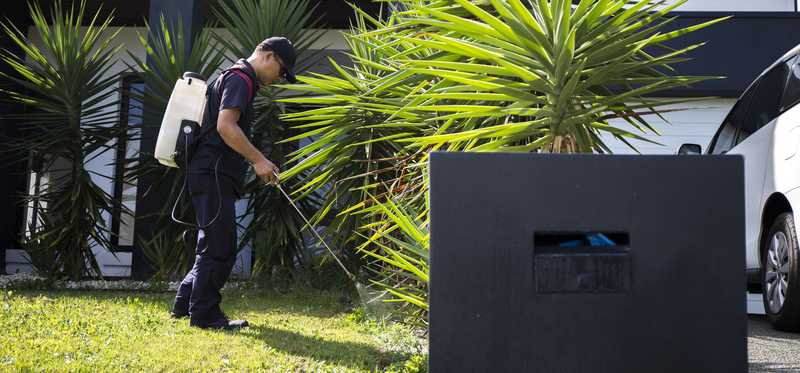 An exterminator spraying for pests.