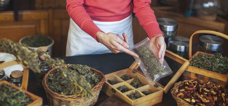Person in a marijuana store showing product.