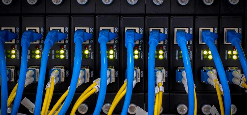 A server with multiple blue and yellow cables plugged in.