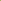 Shiba Inu dog in green field.