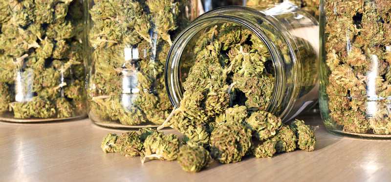 Marijuana buds spilling out of a glass jar