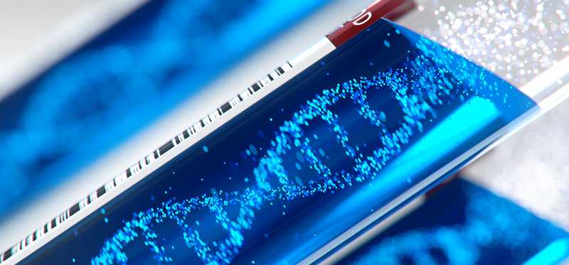 Multiple double helix dna strands.