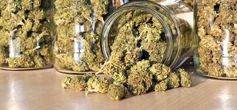 Jars of marijuana with one spilled over.