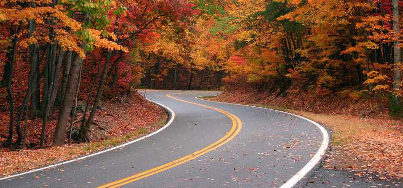 Curvy road in the shape of an S surrounded by fall foliage.
