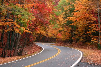 Curvy road in the shape of an S surrounded by fall foliage.