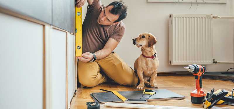 Person measuring cabinets with dog by their side.