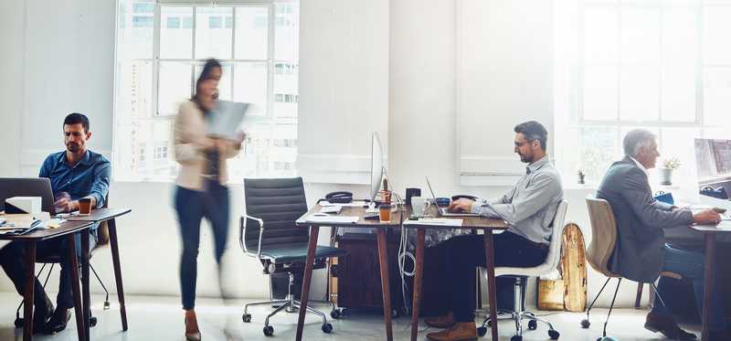 People working in an office.